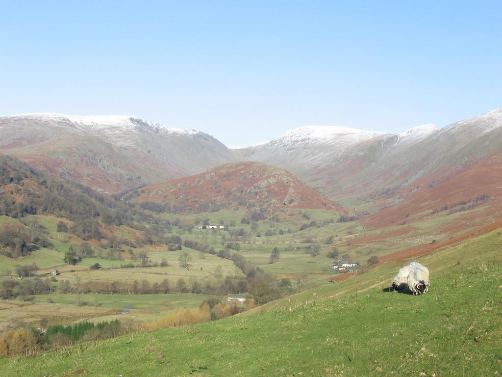 High Fold Guest House Troutbeck  Extérieur photo