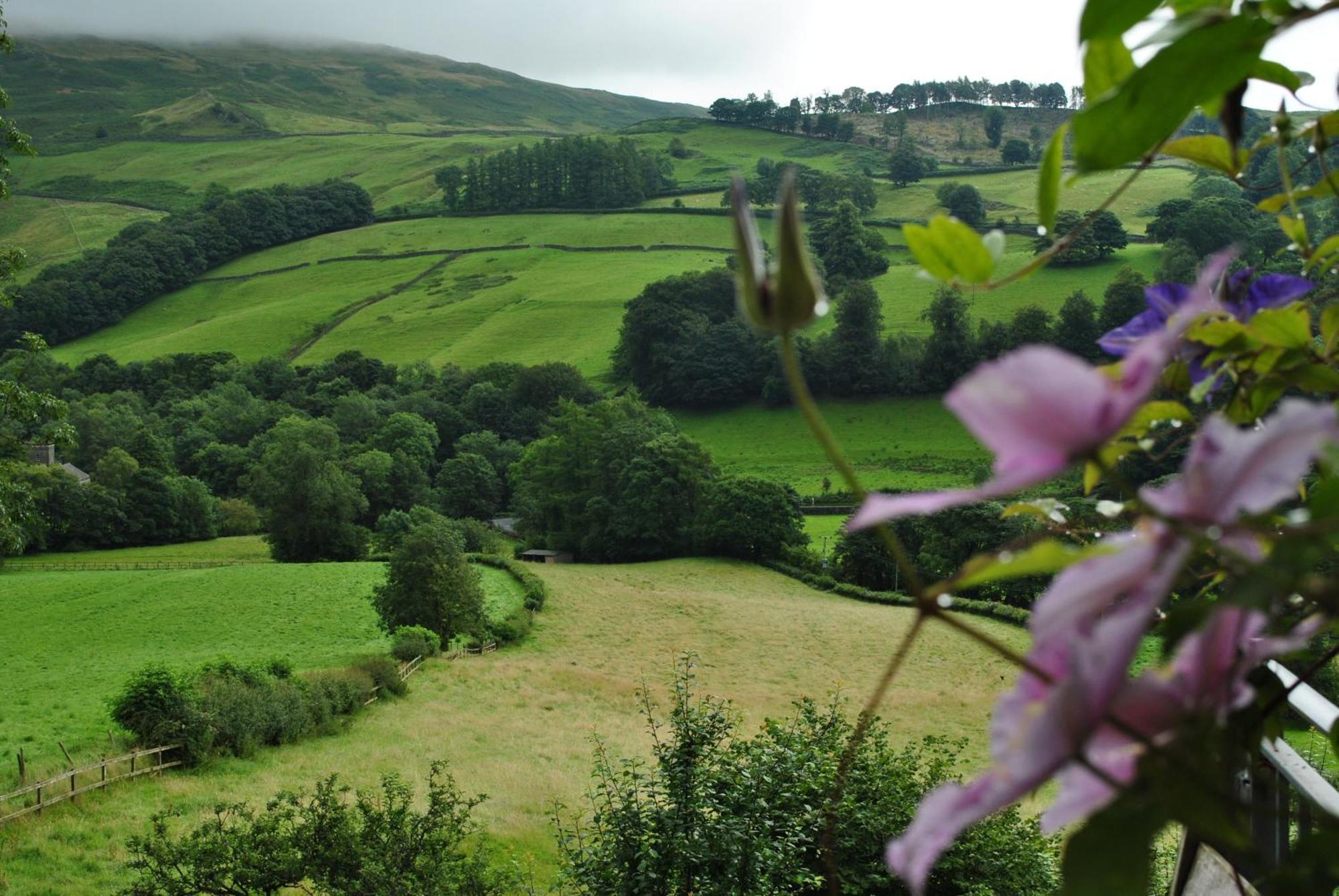 High Fold Guest House Troutbeck  Extérieur photo