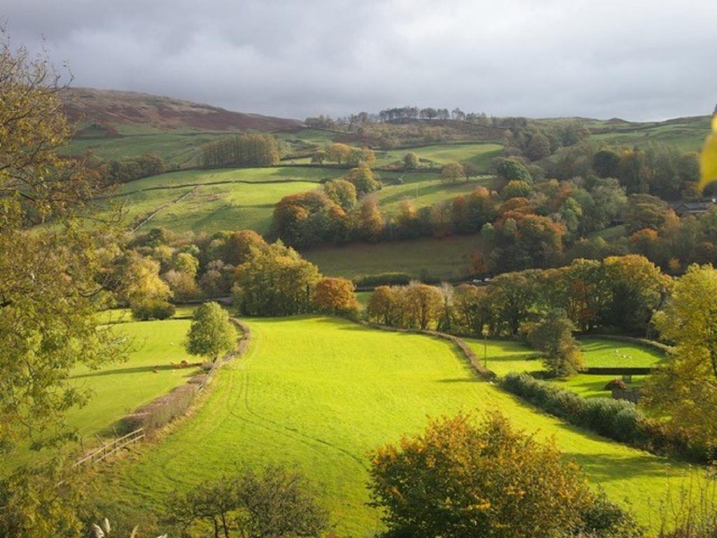High Fold Guest House Troutbeck  Extérieur photo