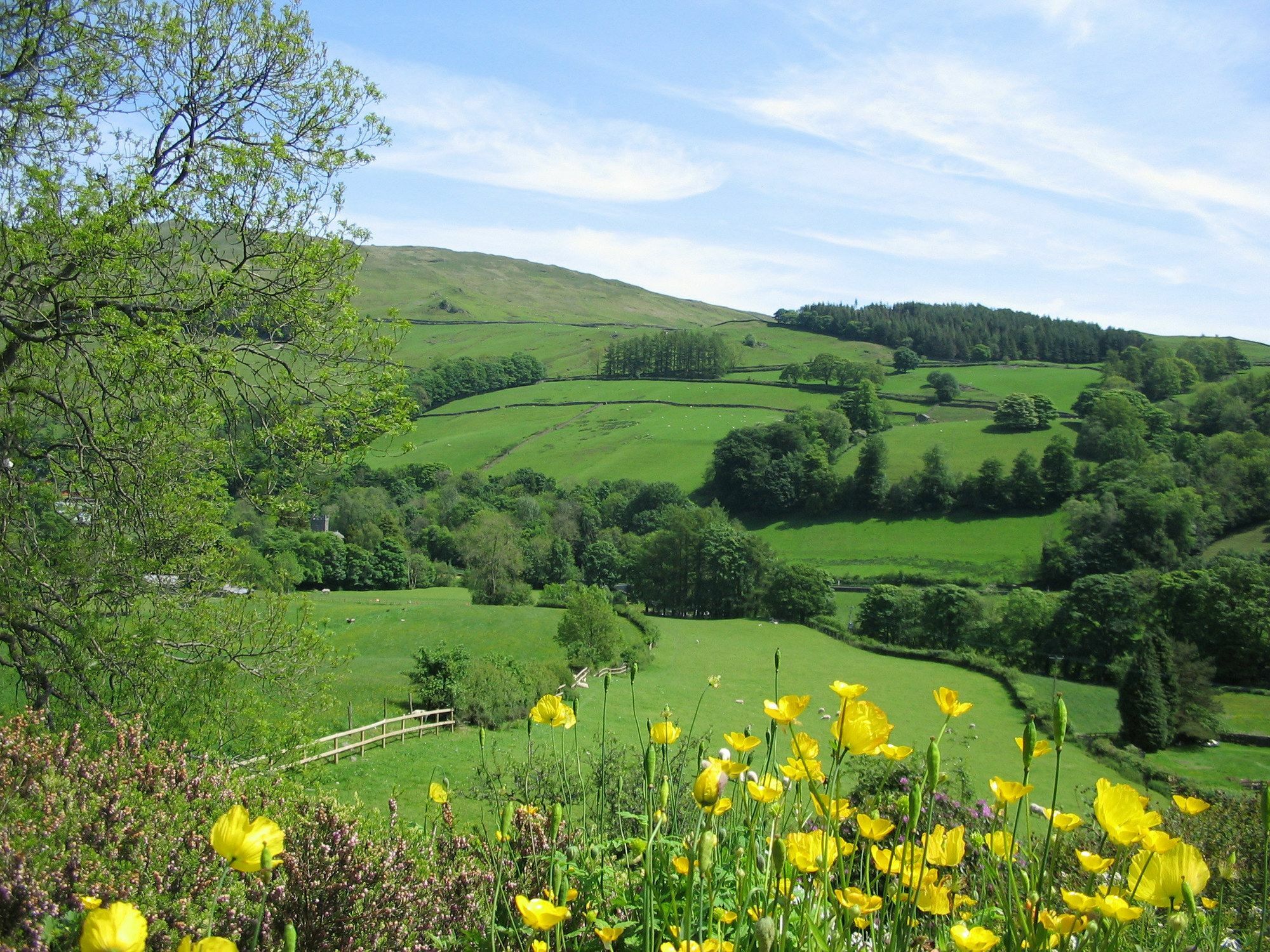 High Fold Guest House Troutbeck  Extérieur photo